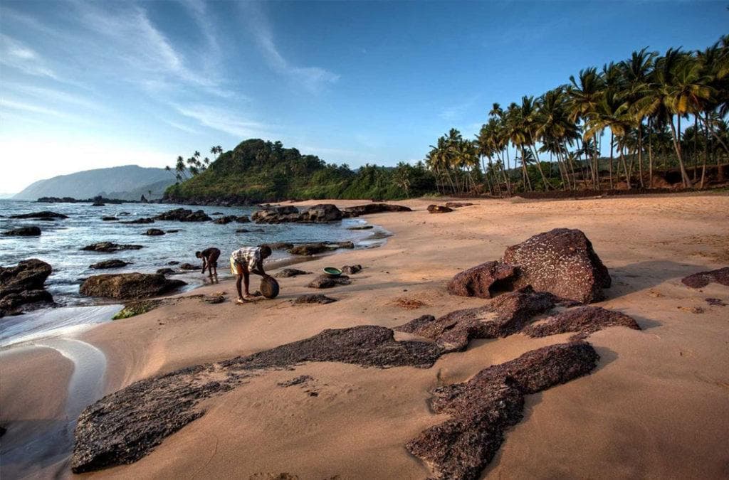 Goa in December: Weather, Events, Tips & Best Stays
